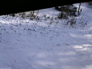 長野県菅平高原 ゆたか山荘 駐車場 2025/11/20 09:45