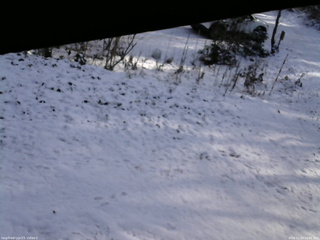 長野県菅平高原 ゆたか山荘 駐車場 2025/11/20 10:00