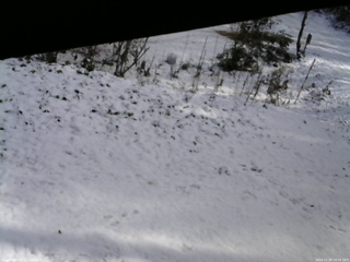 長野県菅平高原 ゆたか山荘 駐車場 2025/11/20 10:30