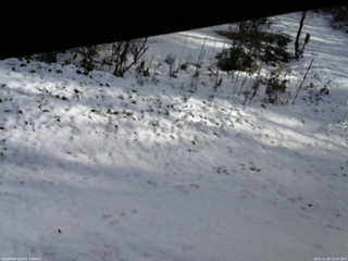 長野県菅平高原 ゆたか山荘 駐車場 2025/11/20 10:45