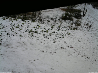 長野県菅平高原 ゆたか山荘 駐車場 2025/11/20 12:00