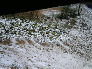 長野県菅平高原 ゆたか山荘 駐車場 2025/11/20 13:30