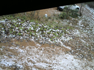 長野県菅平高原 ゆたか山荘 駐車場 2025/11/20 16:00