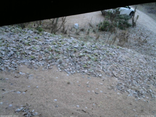 長野県菅平高原 ゆたか山荘 駐車場 2025/11/21 06:30