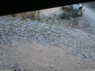 長野県菅平高原 ゆたか山荘 駐車場 2025/11/21 06:45