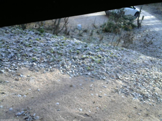 長野県菅平高原 ゆたか山荘 駐車場 2025/11/21 08:00