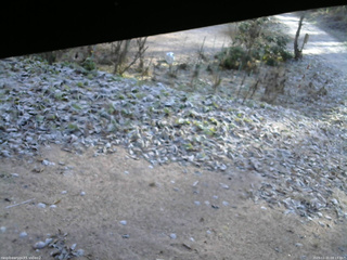 長野県菅平高原 ゆたか山荘 駐車場 2025/11/21 08:15
