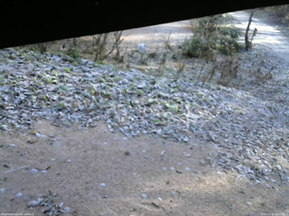 長野県菅平高原 ゆたか山荘 駐車場 2025/11/21 08:45
