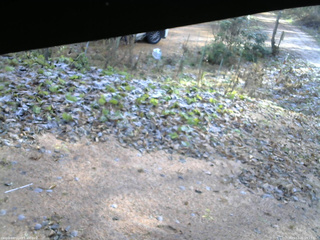 長野県菅平高原 ゆたか山荘 駐車場 2025/11/21 09:15