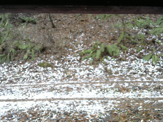 長野県菅平高原 ゆたか山荘 南側 2025/11/22 08:45