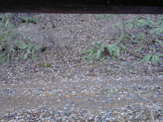 長野県菅平高原 ゆたか山荘 南側 2025/11/22 14:15