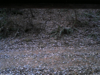 長野県菅平高原 ゆたか山荘 南側 2025/11/23 06:15