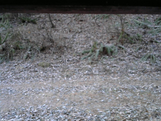 長野県菅平高原 ゆたか山荘 南側 2025/11/23 06:30