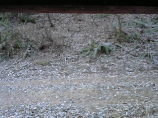 長野県菅平高原 ゆたか山荘 南側 2025/11/23 06:45