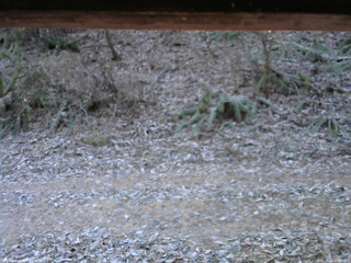 長野県菅平高原 ゆたか山荘 南側 2025/11/23 07:00