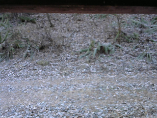 長野県菅平高原 ゆたか山荘 南側 2025/11/23 07:15