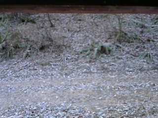 長野県菅平高原 ゆたか山荘 南側 2025/11/23 07:30