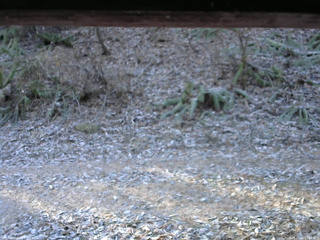 長野県菅平高原 ゆたか山荘 南側 2025/11/23 07:45