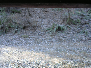 長野県菅平高原 ゆたか山荘 南側 2025/11/23 08:00