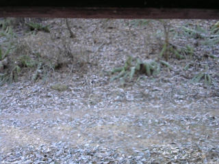 長野県菅平高原 ゆたか山荘 南側 2025/11/23 08:15