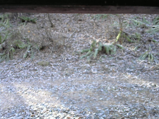 長野県菅平高原 ゆたか山荘 南側 2025/11/23 08:30