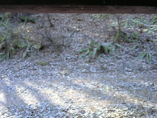 長野県菅平高原 ゆたか山荘 南側 2025/11/23 08:45