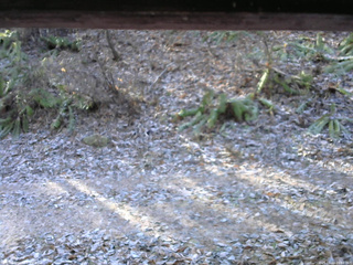 長野県菅平高原 ゆたか山荘 南側 2025/11/23 09:00