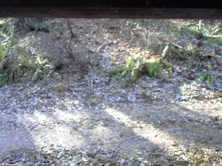 長野県菅平高原 ゆたか山荘 南側 2025/11/23 09:15