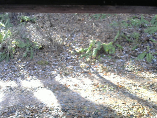 長野県菅平高原 ゆたか山荘 南側 2025/11/23 09:30