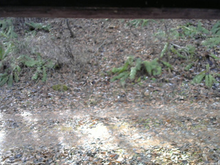 長野県菅平高原 ゆたか山荘 南側 2025/11/23 09:45
