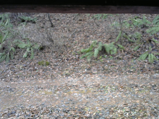 長野県菅平高原 ゆたか山荘 南側 2025/11/23 10:00