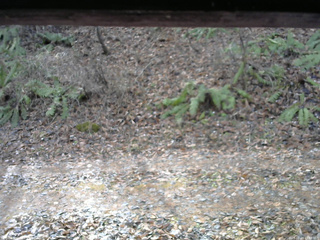 長野県菅平高原 ゆたか山荘 南側 2025/11/23 10:15