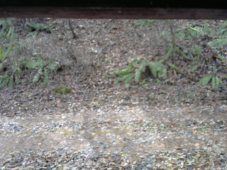 長野県菅平高原 ゆたか山荘 南側 2025/11/23 10:30