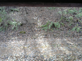 長野県菅平高原 ゆたか山荘 南側 2025/11/23 10:45