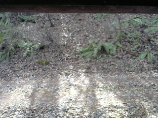 長野県菅平高原 ゆたか山荘 南側 2025/11/23 11:00