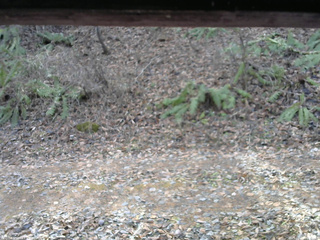 長野県菅平高原 ゆたか山荘 南側 2025/11/23 11:15