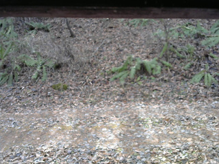 長野県菅平高原 ゆたか山荘 南側 2025/11/23 11:30