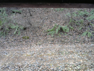 長野県菅平高原 ゆたか山荘 南側 2025/11/23 11:45