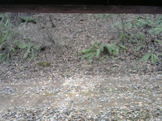 長野県菅平高原 ゆたか山荘 南側 2025/11/23 12:00