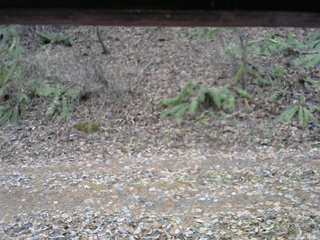 長野県菅平高原 ゆたか山荘 南側 2025/11/23 12:15