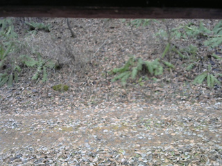 長野県菅平高原 ゆたか山荘 南側 2025/11/23 12:30