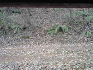 長野県菅平高原 ゆたか山荘 南側 2025/11/23 12:45