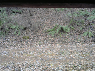 長野県菅平高原 ゆたか山荘 南側 2025/11/23 13:00