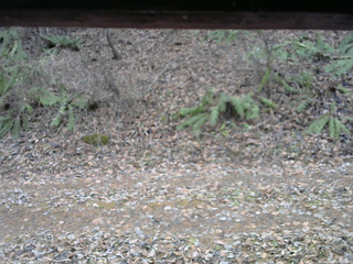 長野県菅平高原 ゆたか山荘 南側 2025/11/23 13:15