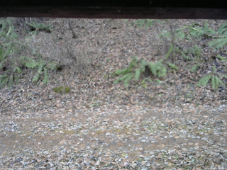 長野県菅平高原 ゆたか山荘 南側 2025/11/23 13:30