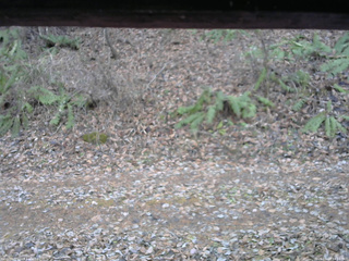 長野県菅平高原 ゆたか山荘 南側 2025/11/23 14:00