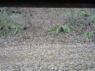 長野県菅平高原 ゆたか山荘 南側 2025/11/23 14:15