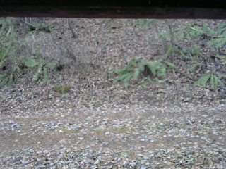 長野県菅平高原 ゆたか山荘 南側 2025/11/23 14:45