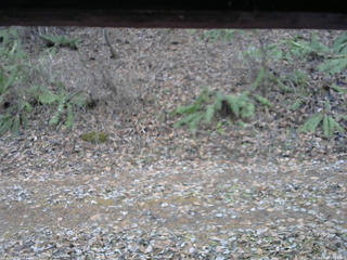 長野県菅平高原 ゆたか山荘 南側 2025/11/23 15:00