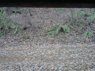 長野県菅平高原 ゆたか山荘 南側 2025/11/23 15:15